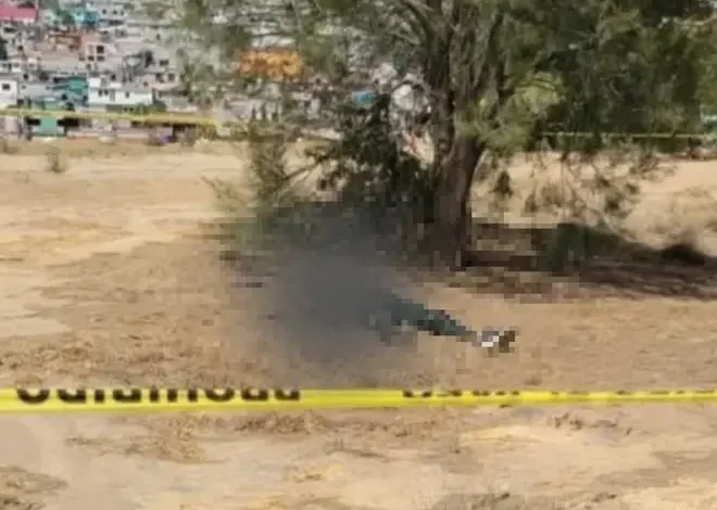 Un video registrado por cámaras de seguridad muestra la forma en la que los ahora detenidos operaban.