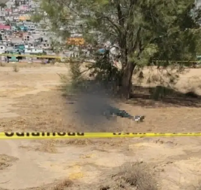 Un video registrado por cámaras de seguridad muestra la forma en la que los ahora detenidos operaban.