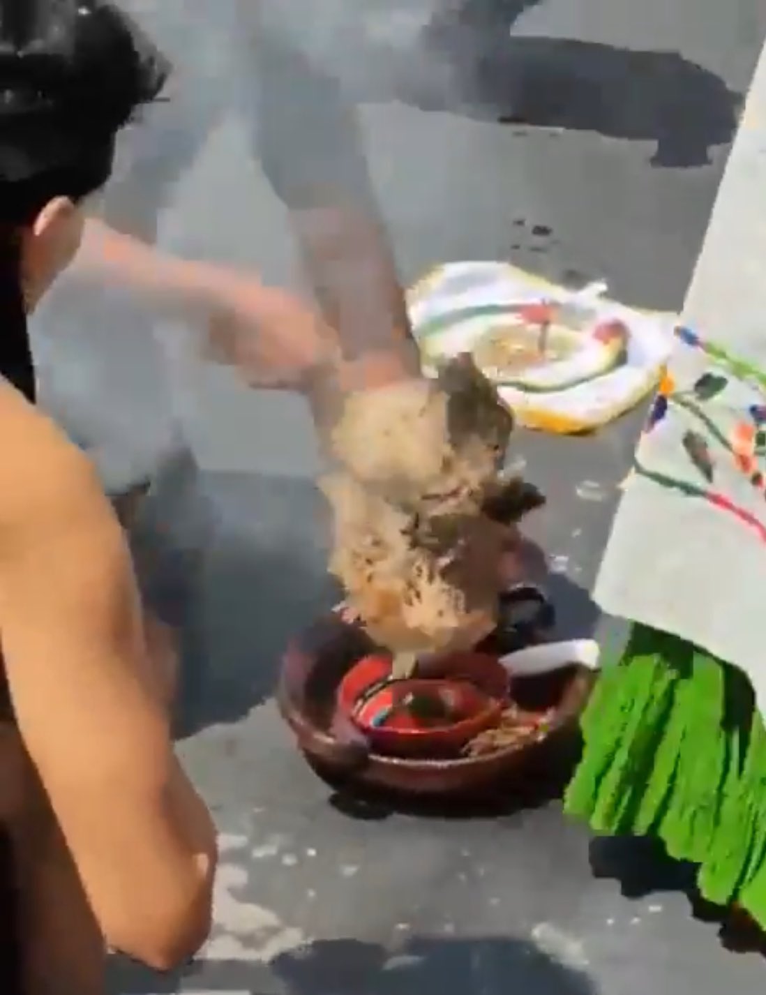 Senador justifica sacrificio de gallina en el Senado