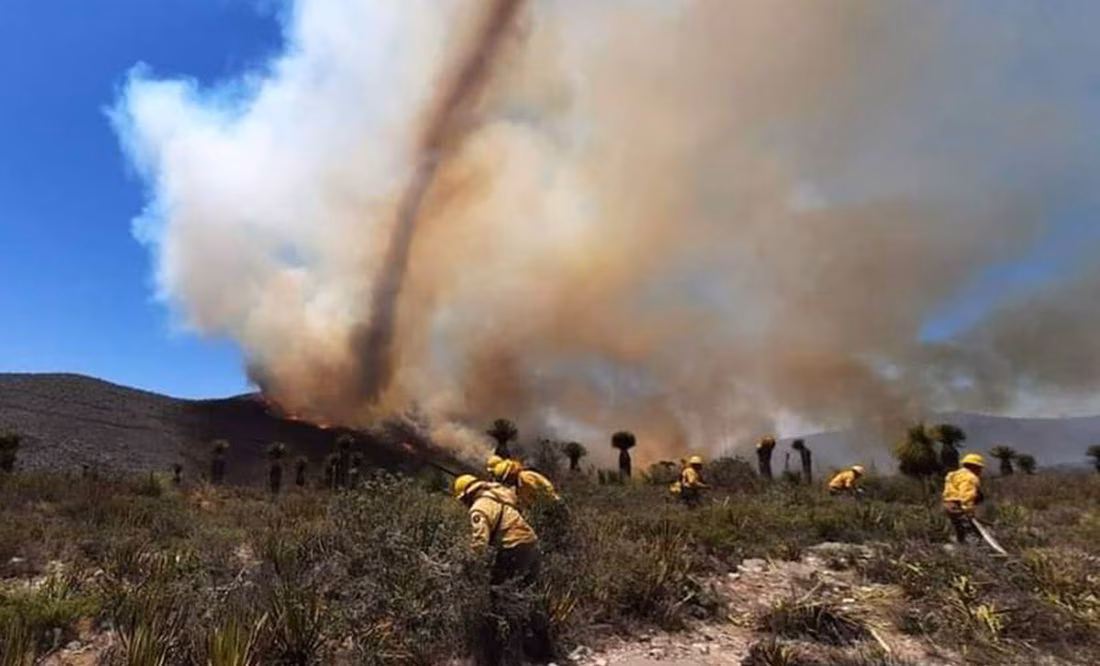 Reportan nuevo incendio forestal en Matehuala; hay 170 hectáreas afectadas