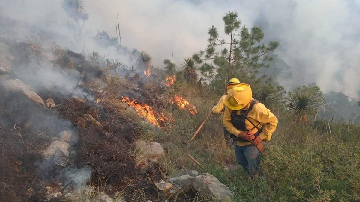 Mueren dos brigadistas voluntarios en incendio forestal en Libres