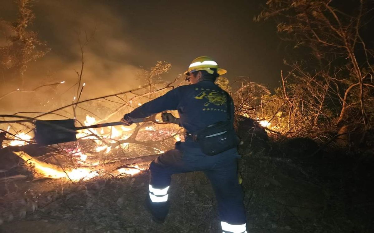 Quemas agrícolas no controladas provocan un tercio de incendios forestales