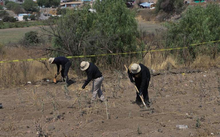 Restos hallados en presunto crematorio clandestino de CDMX son de animales, no de humanos