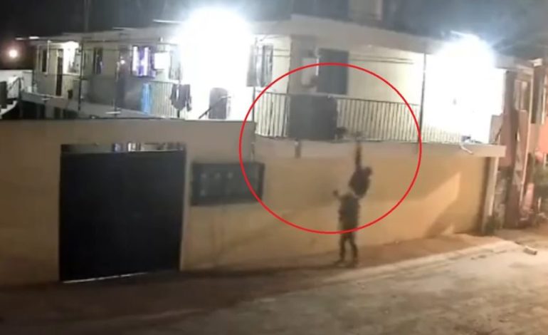 Captan Robo de Perrita Pug en Totimehuacan: Dueños Piden Ayuda para Recuperarla