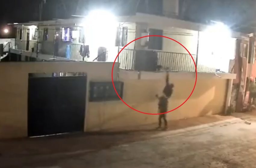 Captan Robo de Perrita Pug en Totimehuacan: Dueños Piden Ayuda para Recuperarla