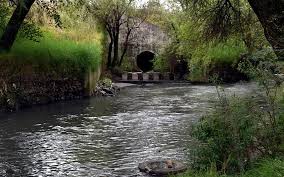 Cerca de 5 mil descargas contaminan el Río Atoyac y Zahuapan