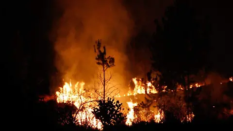 Protección Civil combate nuevo incendio forestal en el Cerro Zapotecas
