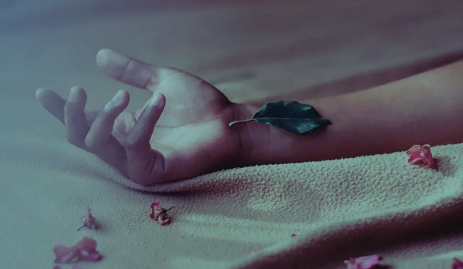 Puebla y la eutanasia: del silencio legislativo a la discusión abierta